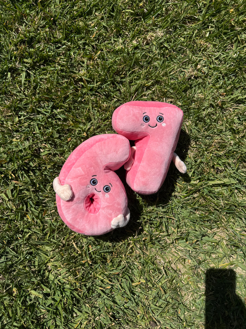 67 Plushie